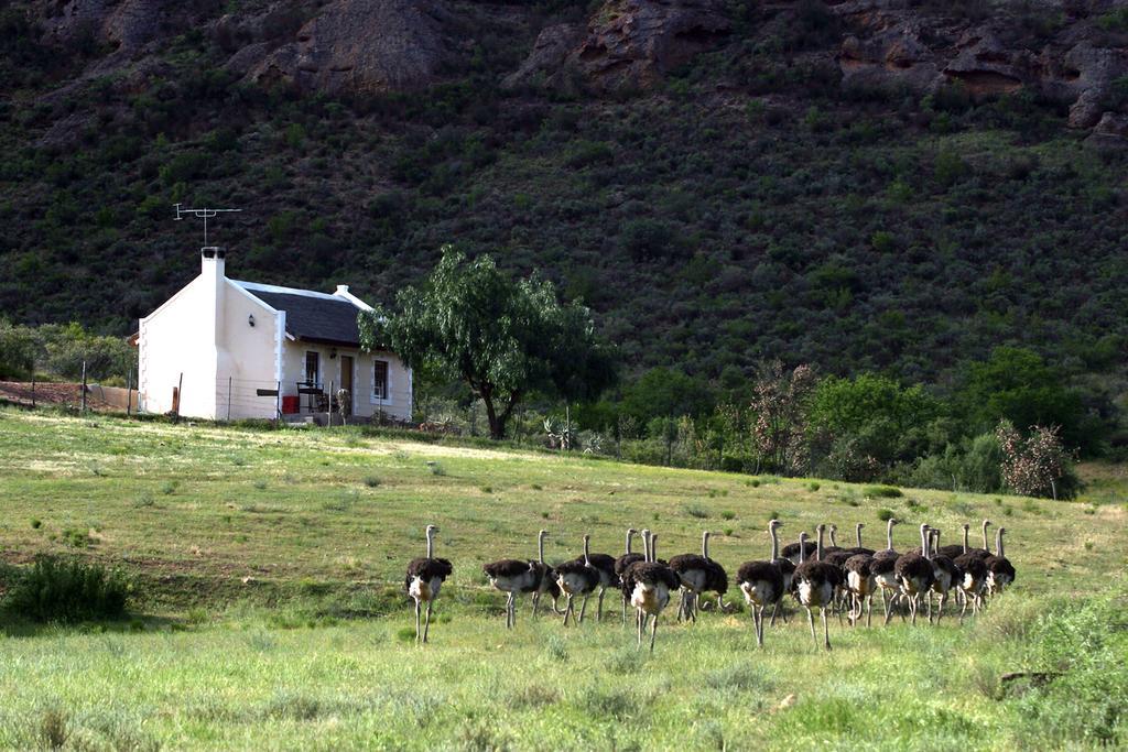 Red Stone Hills Villa Buffelskloof Luaran gambar